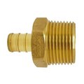 Apollo Pex 3/4 in. Brass PEX Barb x 1 in. Male Pipe Thread Reducing Adapter APXMA341